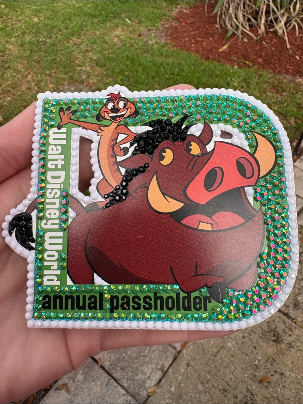 Walt Disney World Bedazzled Pumbaa & Timon Annual Passholder Magnet
